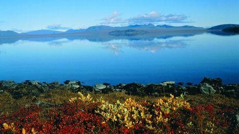 Flora and water views on a 3 night self-drive in Iceland