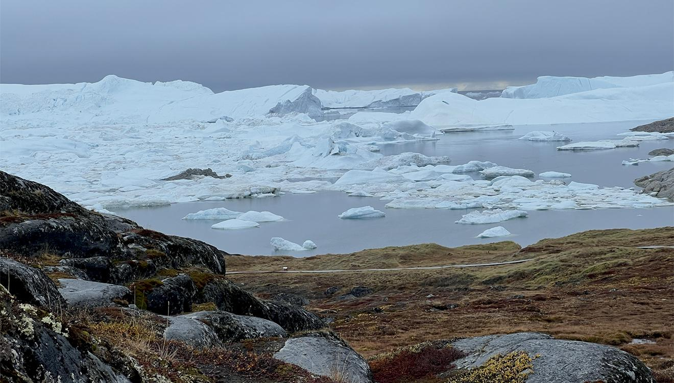 Icebergs in Greenland